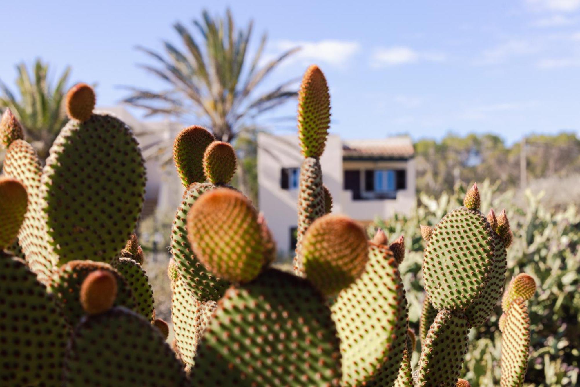 Apartamentos Verde Mar Es Pujols Ngoại thất bức ảnh